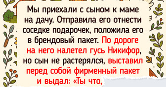 14 походов, которые теперь пересказывают как захватывающий фильм