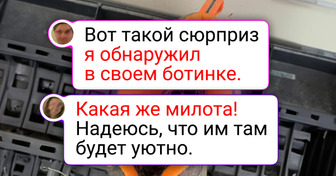 20+ людей столкнулись с необычными явлениями и поспешили рассказать об этом