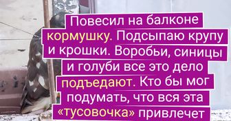 20 настолько суровых пернатых, что даже язык не повернется сказать им: «Гули-гули»