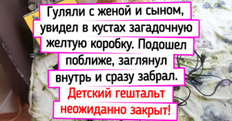 20 находок, после которых прогулка уже не казалась обычной