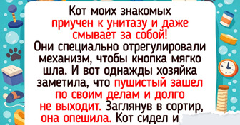 19 теплых историй о пушистиках, чьи выходки превращают каждый день в приключение