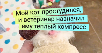 20 животных, которых хозяева лелеют, словно родных детей