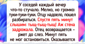 20+ соседей, общение с которыми может взбодрить не хуже литра кофе