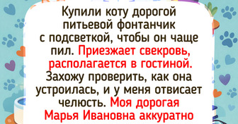 17 человек, которые сходили в гости и вернулись со смешной историей