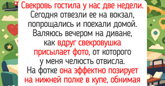 18 пушистых проказников, от чьих добрых выходок на душе поют майские соловьи