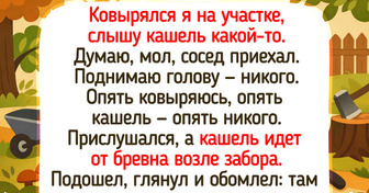 17 душевных дачных историй, которые пахнут первой зеленью и дымком от шашлыка