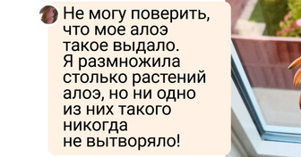 18 цветоводов, которые и на подоконнике в многоэтажке вырастят тропический лес