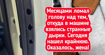 20+ комичных семейных фото, в которых хаоса чуть больше, чем порядка