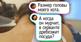 15+ вещей, которые в таком размере вы вряд ли когда-то видели