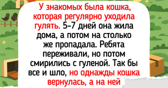 19 живых историй о пушистых любимцах, в поведении которых вы точно узнаете своих