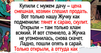 20+ душевных фото и историй о питомцах, чьи чудинки греют лучше первых солнечных лучей