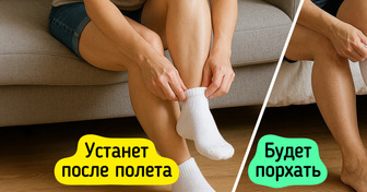 5 трюков опытных путешественников, с которыми вы будете летать как в бизнес-классе