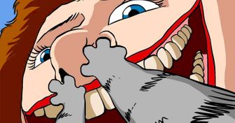 11 комиксов о том, как выглядит обычный день глазами кота