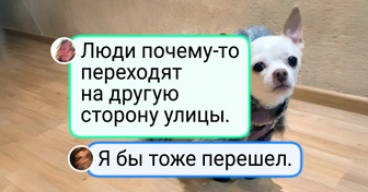 15+ ярких моментов, за которые хочется сказать спасибо уходящей зиме