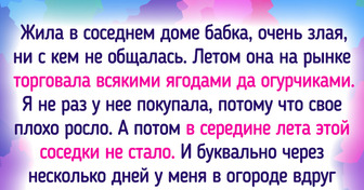 19 ярких историй о дачной жизни, которая порой похожа на трагикомедию