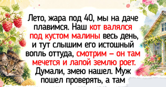 19 животных, которые знают о доброте больше, чем многие люди