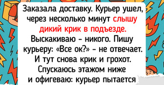 16 историй про доставку, которые звучат, как сюжет комедии