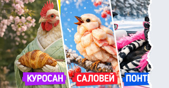 Мы нарисовали 20+ слов с ошибками и теперь не знаем, как перестать икать от смеха