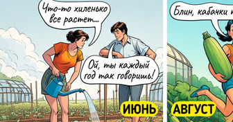 20+ уморительных комиксов о лете, которое не всегда идеально
