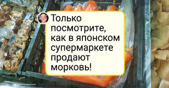 17 фото из азиатских супермаркетов, которые выглядят как портал в другое измерение