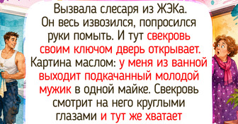 17 историй из ЖЭКа, пропитанных пылью старых папок и звуком шагов в подъезде