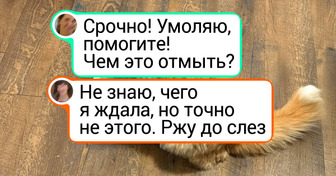 15+ человек, которым такое отмывать пришлось, что и профессиональный клинер бы спасовал