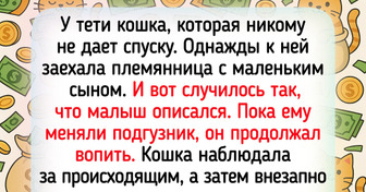 17 человек рассказали, какие очаровательные чудачества порой откалывают их питомцы