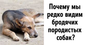 10 принципов экозащитников, которые оказались не более чем фикцией
