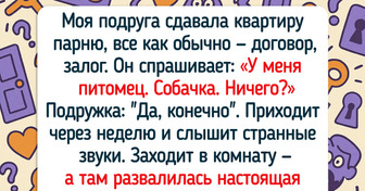 15+ настоящих приключений, которые произошли в съемных квартирах
