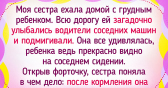 15 человек, про которых в шутку смело можно сказать: «Доходит, как до жирафа!»