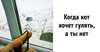 20 человек, которые вывели лень на новый уровень