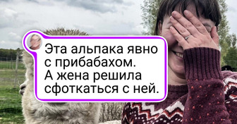 16 животных, от чьих мордашек живот от смеха надорвать можно