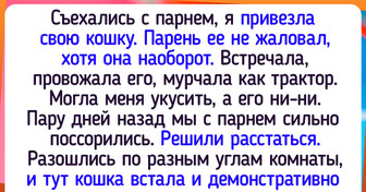 Мы нашли 20 котиков, которые уверены, что они не просто какая-то животинка, а вообще-то личность