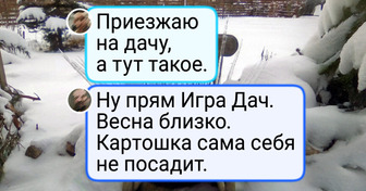 16 кадров, на которых зима проявила себя как самый талантливый и непредсказуемый художник