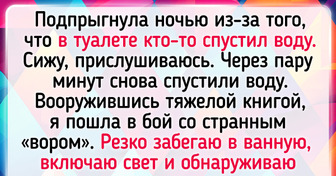 20 историй о питомцах, которые страсть как обожают проказничать