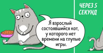 14 комиксов о том, что коты — самые противоречивые создания на планете