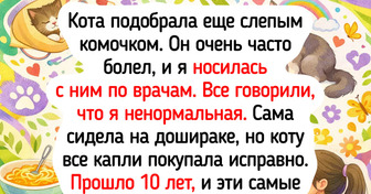 17 историй о людях, для которых чужих животных не бывает