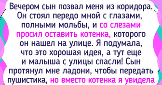 16 людей, которые решили завести себе домашнего питомца, а получили целую историю