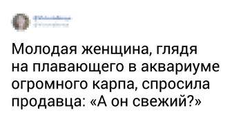 Читатели AdMe.ru вспомнили 28 глупых фраз, которые сказали взрослые образованные люди