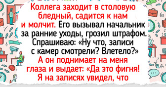 16 историй с обеденных перерывов, после которых возвращаться к рабочим задачам было максимально сложно