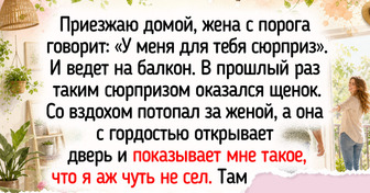 16 человек, превративших балконы и другие уголки квартиры в места для радостных мгновений