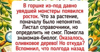 15+ растений-оптимистов, которые растут так, как им подсказывает сердце