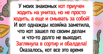 20+ пушистиков, которые играючи внесли нотку хаоса и юмора в наши будни