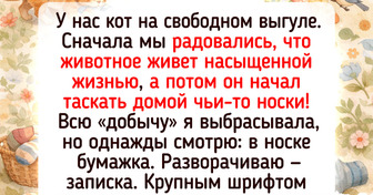 15 жизненных историй о том, как одна пушистая морда может изменить погоду в доме