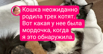 15 харизматичных питомцев, глядя на которых так и хочется себе пушистого друга