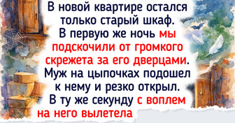 16 примеров того, что переезд — это не только коробки и стресс, но и начало увлекательного приключения — 23.03.2026