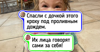 Малыши и их хвостатые няньки: 20 кадров, при взгляде на которые сердце сжимается от нежности