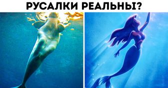 13 ответов на интригующие вопросы, которые вы хотели задать, но поленились гуглить