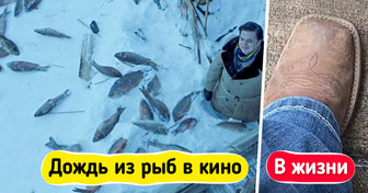 Как выглядят 8 природных явлений, которые мы видели только в кино