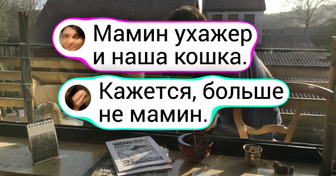 18 примеров того, что без кота и жизнь не та. Да и без собаки тоже